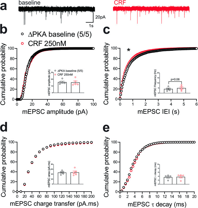 CRF slightly potentiated presynaptic glutamate release in the LHb of ΔPKA mice.a Sample AMPAR-mediated mEPSC traces from ΔPKA mouse before (black) and after CRF application (red, 250 nM) (calibration bars: 20 pA/1 s). Average bar graphs of mEPSC and cumulative probability plots of (b) amplitude, (c) frequency (inter-event interval), (d) charge transfer and (e) τ decay for all mEPSCs in ΔPKA mice before (black open symbols) and after CRF (red open symbols) (n = 5 cells from 5 mice). Two-tailed Kolmogorov-Smirnov tests, *p < 0.05.