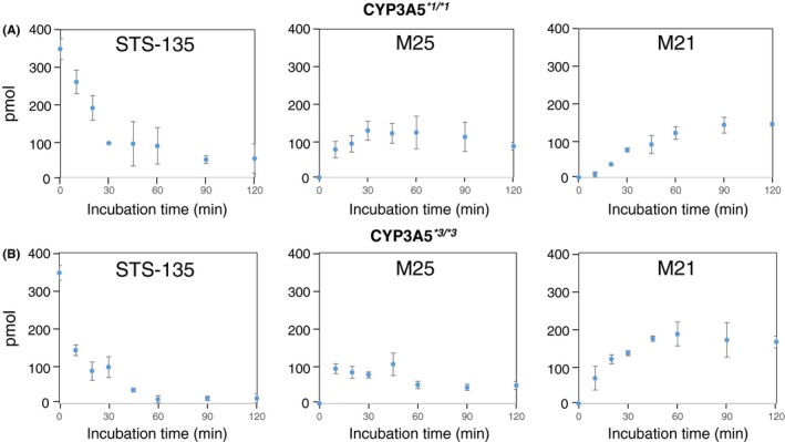 Time‐dependent metabolism of STS‐135 in genotyped HLMs. While CYP3A4 is not highly polymorphic, CYP3A5 is. Genotyped HLMs possessing (A) high (CYP3A5*1*1) and (B) low activity (CYP3A5*3*3) were used to determine whether CYP3A4 or CYP3A5 played a predominant role in the oxidative metabolism of STS‐135. The activity level of CYP3A5 was not shown to affect the production of M25 or M21