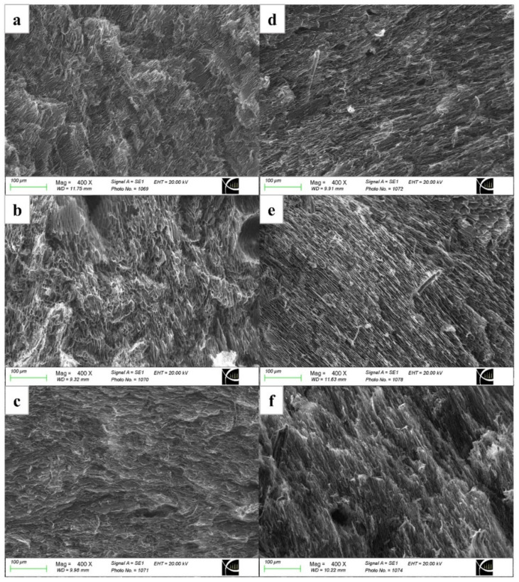 Scanning Electron Microscopy (SEM) images showing the microstructures of the composite hydrogels: (a) PNIPAAm/Cs/CNC0, (b) PNIPAAm/Cs/CNC10, (c) PNIPAAm/Cs/CNC50, (d) PNIPAAm/Cs/CNC100, (e) PNIPAAm/Cs/CNC150 and (f) PNIPAAm/Cs/CNC300. The cross-sectional view with a magnification of 400× is reported.