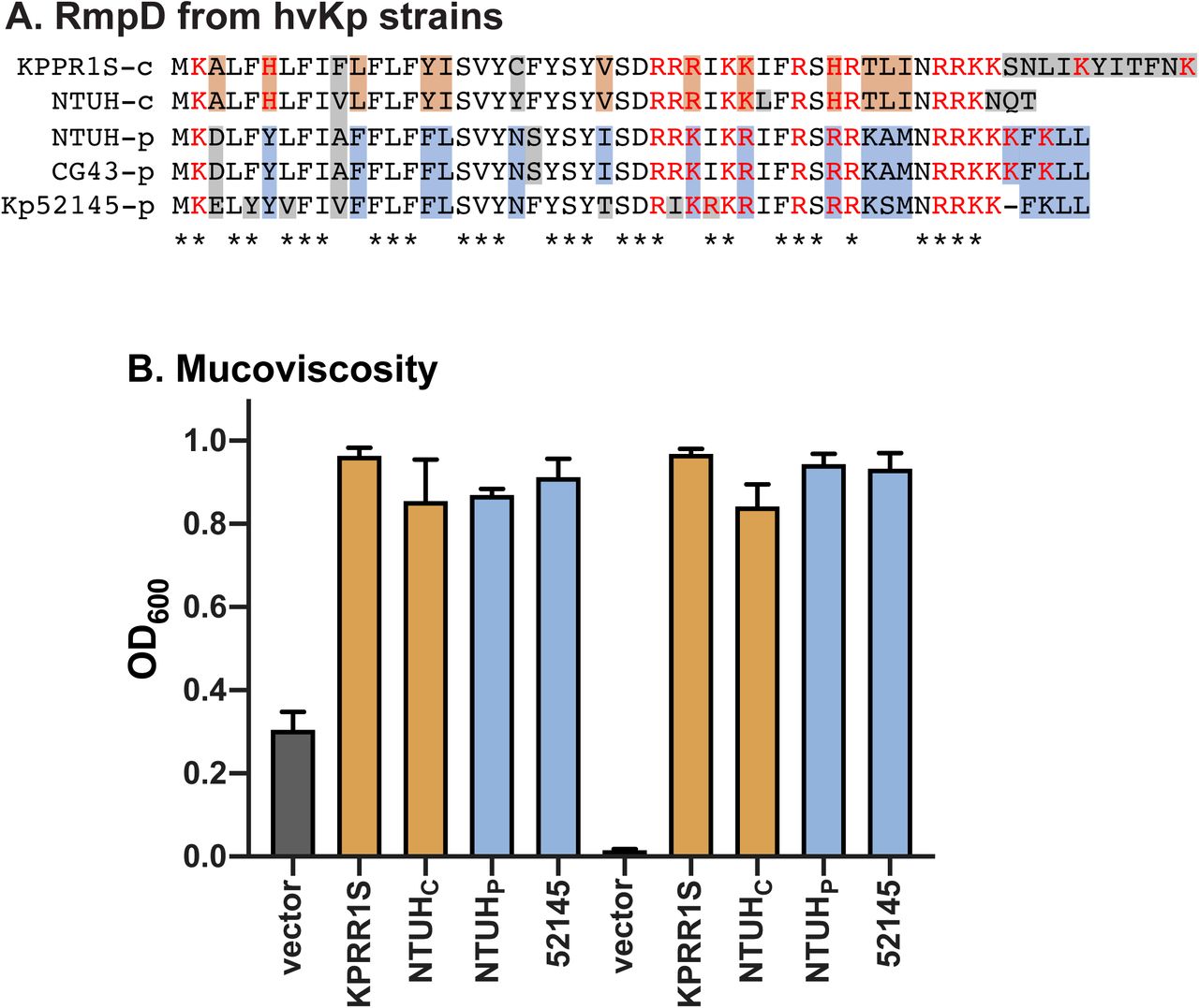 Conservation of rmpD. (A) RmpD from known hvKp strains. c, chromosomal copy; p, plasmid copy; orange and blue boxes, residues conserved in chromosomal and plasmid copies, respectively; gray boxes, non-conserved residues; *, fully conserved residues; red residues, positively charged side chains. Accession numbers for these sequences are in the Supplemental Info. (B) Mucoviscosity assay to test if plasmid- and chromosomally-derived rmpD genes can complement the ΔrmpD mutant for mucoviscosity.