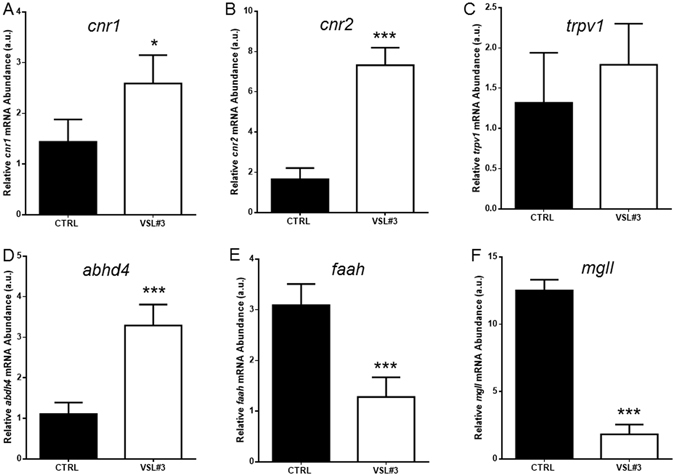 Intestinal (A) cnr1, (B) cnr2, (C) trpv1, (D) abhd4, (E) faah and (F) mgll mRNA levels by qPCR normalized against act1b and rplp, in control (CTRL) and VSL#3-treated (VSL#3) fish. Values indicate mean ± SD. *p < 0.05; ***p < 0.001.