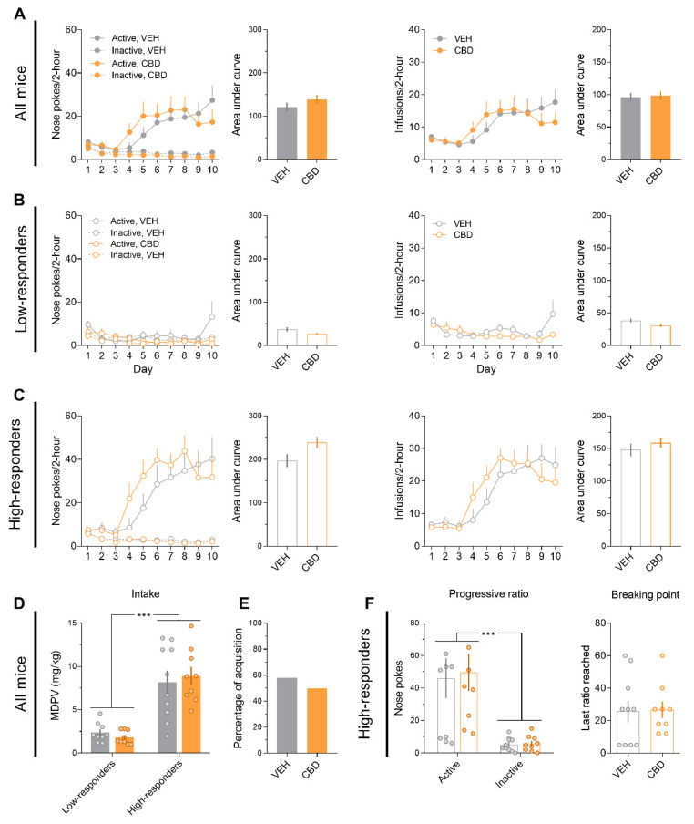 CBD does not modify MDPV (0.05 mg/kg/infusion) self-administration. (A) Nose pokes and infusions along the self-administration days and their respective areas under the curve (VEH, n = 19; CBD, n = 18). (B) Nose pokes and infusions along the self-administration days and their respective areas under the curve for low-responders (VEH, n = 9; CBD, n = 9). (C) Nose pokes and infusions along the self-administration days and their respective areas under the curve for high-responders (VEH, n = 10; CBD, n = 9). (D) Total MDPV intake. Two-way ANOVA, *** p < 0.001. (E) Percentage of acquisition. (F) Active/inactive nose pokes and breaking point during the progressive ratio test. Two-way ANOVA, *** p < 0.001.