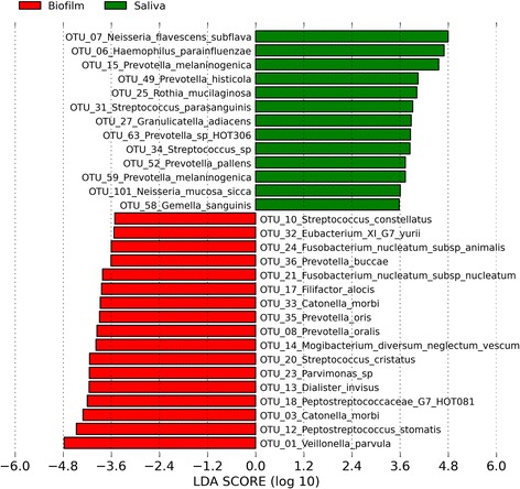 Linear Discriminant Analysis Effect Size (LEfSe) analysis showing those OTUs that were significantly differentially abundant between saliva and seven-day biofilms, ranked by effect size (all LDA scores >3.5).