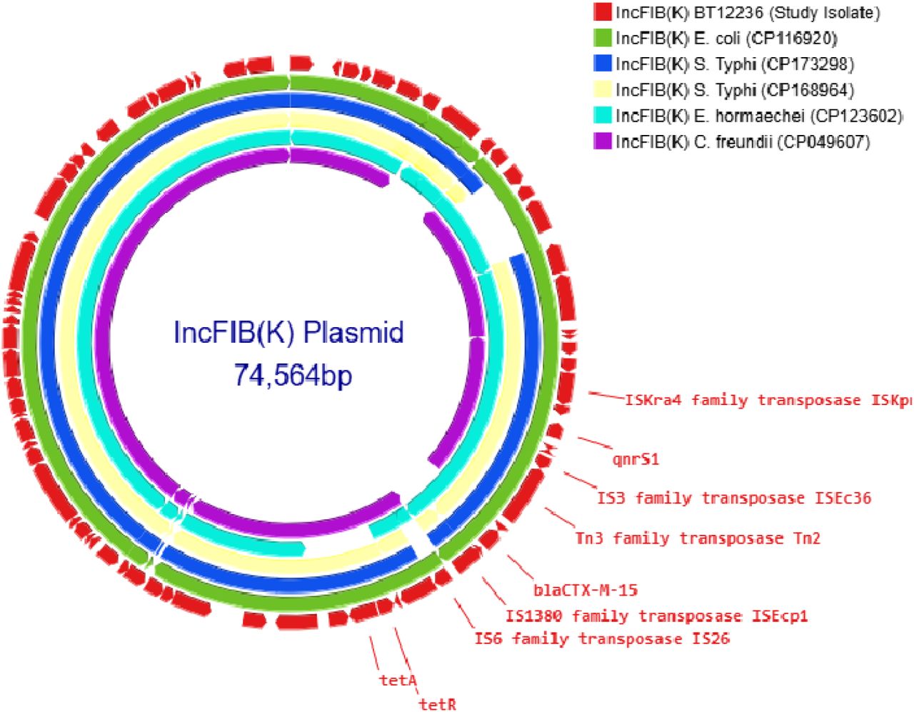 Comparison of IncFIB(K) plasmid:The IncFIB(K) plasmid from the carbapenem-resistant Salmonella Typhi (CRST) isolate was BLAST-searched against the NCBI BLASTn database and compared with Enterobacteriales carrying plasmids of the same incompatibility group [(CP116920), (CP173298), (CP168964), (CP123602), (CP049607)] with 90–100% identity. The selected plasmids were then annotated and visualized using Proksee.