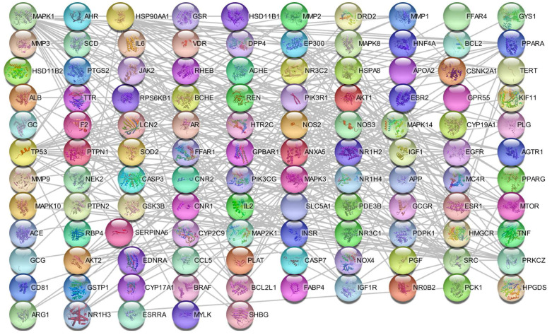Protein–protein interaction network of overlapping genes between C. sativa targets and T2D-associated genes.