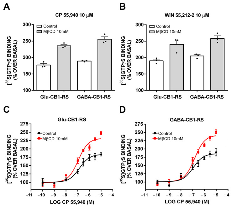 CB1 receptor coupling to Gαi/o proteins in control and 10 mM MβCD pretreated synaptosomes from frontal cortical tissue of Glu-CB1-RS and GABA-CB1-RS mice. (A,B) Bar graph of 10 µM CP 55,940 and 10 µM WIN 55,212-2-stimulated maximal [35S]GTPγS binding. (C,D) Concentration–response curves for the CP 55,940-stimulated [35S]GTPγS binding. Concentration–response curves were constructed using mean values ± SEM from triplicate data points of three independent experiments. Emax values are expressed as % specific [35S]GTPγS bound of basal.