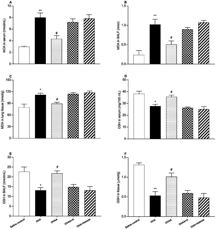 Effect of CB2 agonist on OVA-induced asthma in MDA content in serum (A), in BALF (B), in lung tissue (C), GSH level in serum (D), in BALF (E) and in tissue (F). Data are expressed as mean ± S.E.M. (n = 6) and one-way ANOVA followed by Tukey’s multiple range test. *p < 0.05 or **p < 0.001 as compared to saline control group, #p < 0.05 as compared to OVA group
