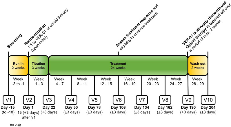 Trial design. The trial included a 2-week run-in phase to assess baseline pain intensity, followed by 3 weeks of titration, 6 months of treatment, and a 2-week wash-out period