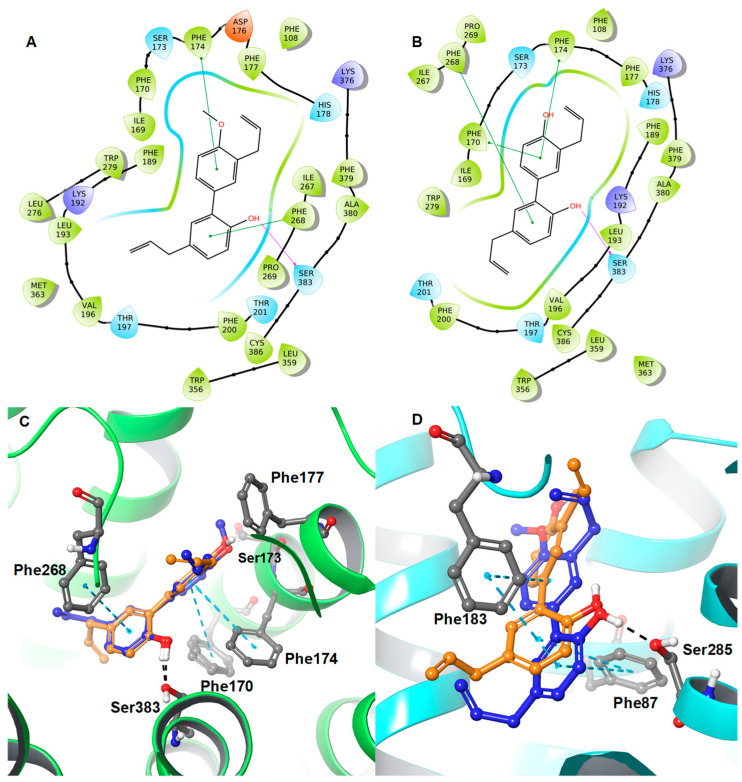 2D interaction diagrams of (A) 1 and (B) 3 along with the 3D overlaid representations of (C) 1 (carbon in blue) with 3 (carbon in orange) against the CB1R and (D) 1 (carbon in blue) with 3 (carbon in orange) against the CB2R. The key residues are shown in the ball and stick model (carbon in grey).