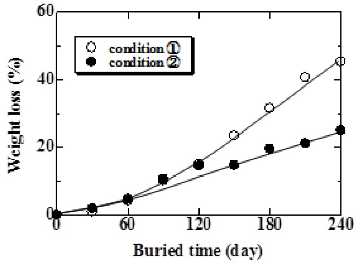 Relationship between weight loss and burial period for Conditions 1 and 2.