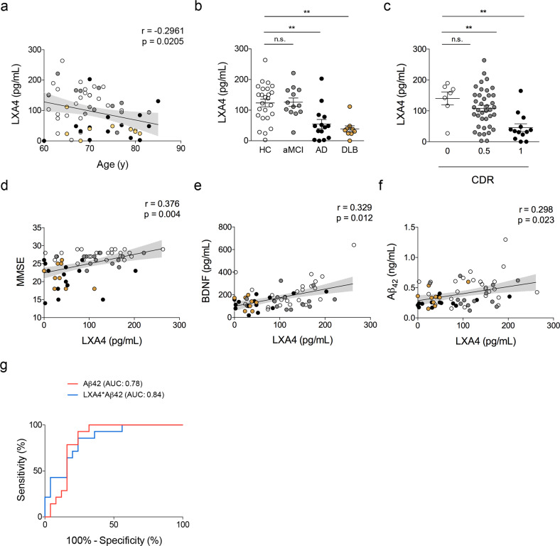 Cerebrospinal fluid LXA4 is reduced in aging and in dementia in humans.a Correlation between age (in years) and CSF LXA4 in human subjects. b CSF levels of LXA4 in AD and DLB patients compared to healthy controls or amnestic MCI patients (N = 25 controls, 13 aMCI, 14 AD, 9 LBD patients). c CSF LXA4 categorized by clinical dementia rating (CDR) (N = 7 CDR 0; N = 40 CDR 0.5; N = 13 CDR 1). Two-tailed unpaired one-way ANOVA followed by Holm–Šidák post hoc test (**p < 0.01; ns nonsignificant). Graphs show means ± standard error of the mean (SEM). d–f Correlations between LXA4 and MMSE scores (d), CSF BDNF (e), or Aβ42 (f) levels in human subjects. Lines represent partial rank correlations (r and p-values as indicated in graphs), adjusted for age, and the confidence interval is represented as gray shade. g Receiver operating characteristic curves for diagnostic based on Aβ42 alone (red line) or LXA4*Aβ42 (blue line); confidence interval: 0.95; p < 0.001. HC healthy controls, white symbols, aMCI amnestic mild cognitive impairment, gray symbols, AD Alzheimer’s disease, black symbols, DLB dementia with Lewy bodies, golden symbols, AUC area under the curve.