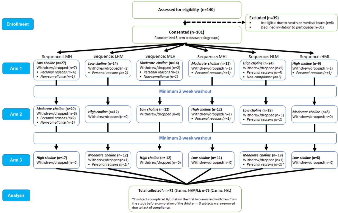 CONSORT diagram. Flowchart of participants through the study. L: 25%AI choline intake; M: 50% AI choline intake; H: 100% AI choline intake