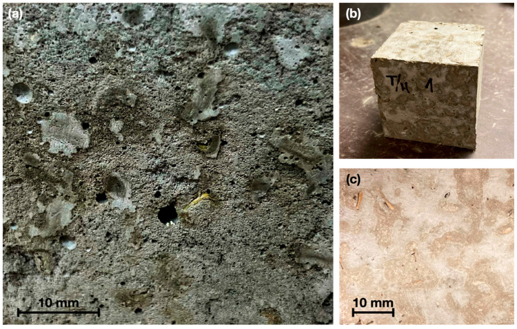 (a) plant-based concrete sample with an abundant presence of air bubbles due to saponins in the vegetal aggregate; (b,c) densified cementitious matrix for T/H.