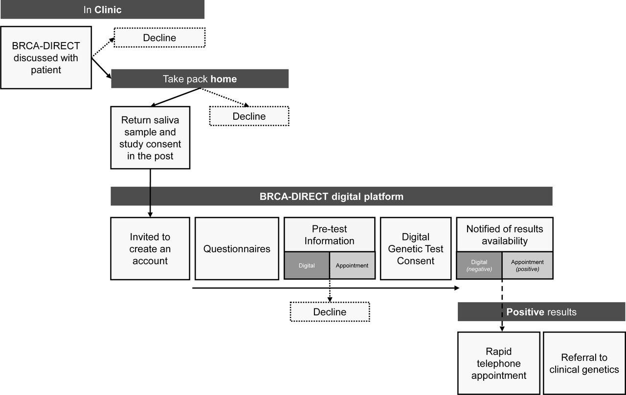 The BRCA-DIRECT Pathway