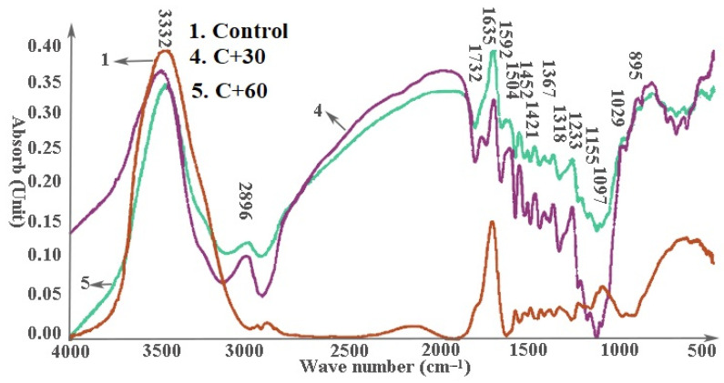Effect of Cellulase pretreatment on FTIR spectra of a 70:30 wood/hemp hurd fiber mixture.