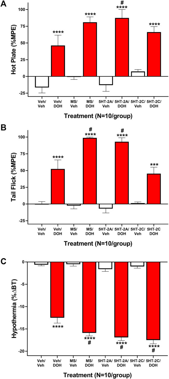 Serotonin Receptor 2 (5-HT2) signaling does not attenuate decursinol-induced antinociception or hypothermia. Mediation of the acute antinociceptive (A/B) and hypothermic (C) effects of 50 mg/kg decursinol by 5-HT 2 antagonists in male mice. Mice (N = 10) were assessed for hot plate (A) and tail-flick (B) antinociception (%MPE) and hypothermia (C; %ΔBT) 30 min following pretreatment with either vehicle (VEH), 4 mg/kg of the non-selective 5-HT2 antagonist Methysergide (MS), 4 mg/kg of the selective 5-HT2A antagonist Volinanserin (5-HT2A), or 4 mg/kg of the selective 5-HT2C receptor antagonist SB-242084 (5-HT2C) and again 30 min following treatment with either vehicle (VEH; unfilled bars) or 50 mg/kg of decursinol (DOH; filled bars). Error bars represents the mean ± SEM. Data were analyzed using a repeated measures one-way ANOVA with Bonferroni post-hoc tests (***p < 0.001; ****p < 0.0001 compared to VEH/VEH; # p < 0.05 compared to VEH/DOH).