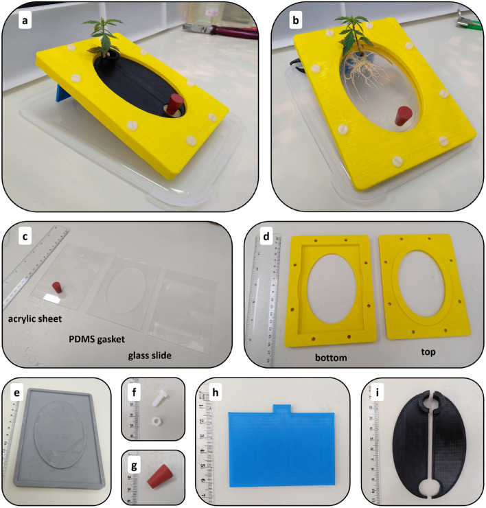 Pictures displaying a complete assembled Root-TRAPR system with industrial hemp grown inside (a and b) and all individual parts (c–i) – the internal root growth chamber consisted of an acrylic sheet, a PDMS gasket and a microscope slide (c), top and bottom external structural frames (d), PDMS mold (e), nylon bolts and nuts (f), rubber bung (g), stand (h) and window shutter (i)