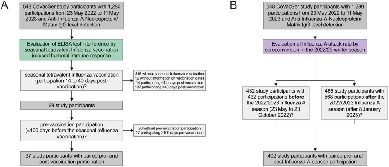 Recruitment of study participantsA) Evaluation of test inference by the seasonal Influenza vaccinationB) Evaluation of the Influenza A infection rate and its influencing factors