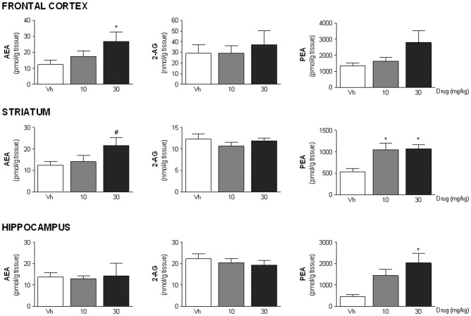 ST4070 effects on brain endocannabinoid content.Data are expressed as mean ± SEM. Rats were orally administered ST4070 (10 or 30 mg/kg, 60 min before testing), and were challenged in the LD box for 10 min. Immediately after testing, animals were sacrificed and brain regions rapidly dissected. Levels of anandamide (AEA), 2-arachidonoylglycerol (2-AG) and N-palmitoylethanolamine (PEA) were measured in specific brain regions (frontal cortex, striatum and hippocampus) (n = 8 per experimental group). One-way ANOVA a followed by Tukey post-hoc comparisons, * p = 0.05 vs. vehicle; # p = 0.06 vs. vehicle.