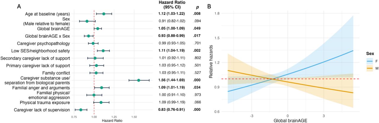 Results of global brainAGE primary analysis and post-hoc interaction test.Some statistically significant findings appear to include lower limits of confidence intervals at 1.00 due to rounding. (A) Hazard ratios of cannabis initiation by sex, ALEs, and global brain Age Gap Estimate (brainAGE). Error bars indicate 95% CI. Log likelihood χ2 = 355.0 on 15 degrees of freedom, p < .001. Statistically significant findings are indicated in bold. (B) Relative hazards of brain Age Gap Estimate (brainAGE) by sex interactions. Shading indicates 95% confidence intervals (CI). F = female. M = Male. HRF = 1.045 (1.00-1.10, p = .049), HRM = 0.973 (0.94-1.01, p = .176), interaction p < .017.