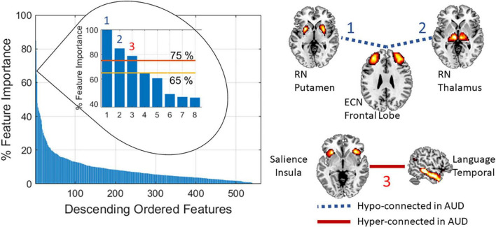 The three features with highest importance (>75%) are indicated by the numbers 1, 2, and 3. These features point to RN-ECN and Salience-Language connectivity.