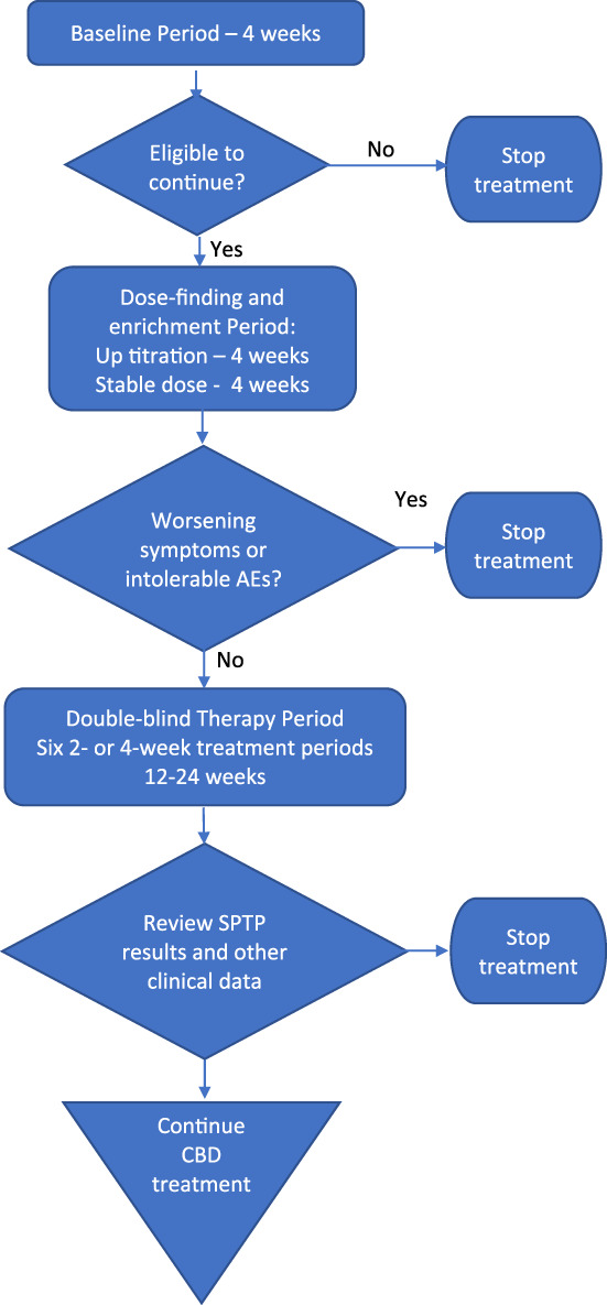 Single patient therapy plan flowchart.