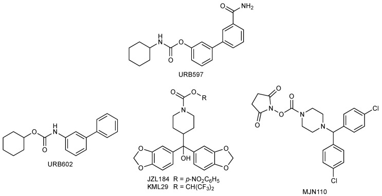 Chemical structures of neuroprotective FAAH and MGL inhibitors.