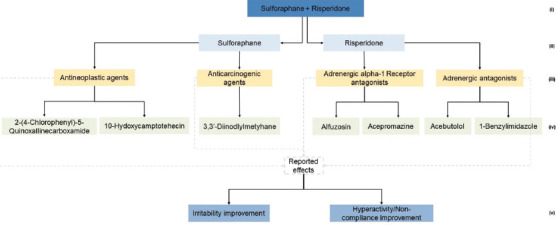 Therapeutic categories graph for sulforaphane + risperidone treatment. The numbers point to a given category level as follows: (i) Treatement; (ii) Compound; (iii) Therapeutic categories; (iv) Associated drug; (v) Observed effects.