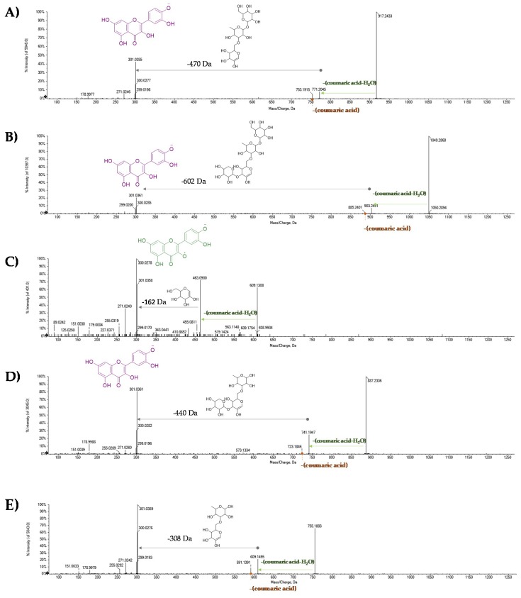 TOF-MS/MS spectra of [M − H]− ion of some of tentatively identified quercetin coumaroyl glycosides (A) 36, (B) 37, (C) 38, (D) 39, and (E) 40.