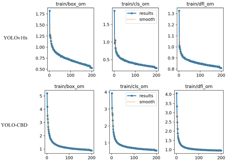 Comparison of loss curves for training YOLOv10s and YOLO-CBD.