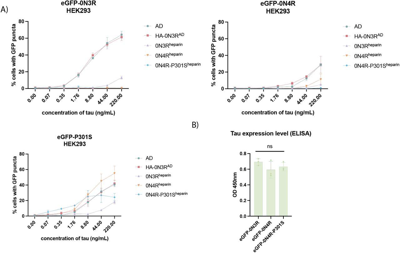 WT-tau expressing cell lines respond preferentially to AD-brain derived seed A) Levels of seeded aggregation in HEK293 cells expressing the indicated eGFP-tagged tau construct following treatment with AD-brain derived tau assemblies, with AD-HEK derived tau (HA-0N3RAD) or with recombinant heparin tau assemblies (0N3Rheparin, 0N4Rheparin, 0N4R-P301Sheparin). B) Total tau ELISA showing relative expression levels of eGFP-0N3R, eGFP-0N4R, and eGFP-0N4R-P301S HEK293 cells (One-way ANOVA with Tukey’s multiple comparisons test, p > 0.05).