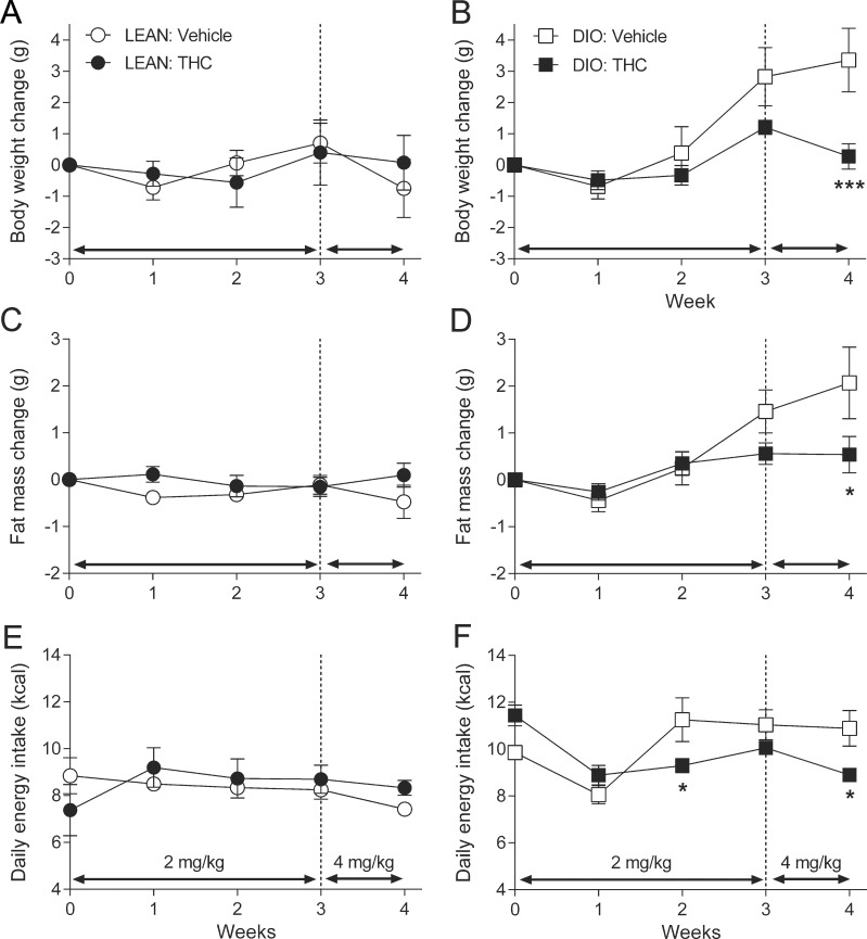 Chronic THC prevents high fat diet-induced change in body weight and fat mass.The effect of daily administration of Δ9-tetrahydrocannabinol (THC; 2 or 4 mg/kg) or vehicle on body weight change (A, B), fat mass change (C, D) and daily energy intake (E, F) in lean (A, C, E) or diet-induced obese (DIO) mice (B, D, F). Data points represent the mean ± s.e.m., n = 5–8. * P < 0.05 and *** P < 0.001 denote a significant difference from the vehicle control.