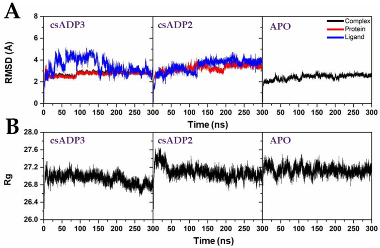 Molecular dynamics simulation of the DPPIV-csADP2 complex, DPPIV-csADP3 complex, and apo state of DPPIV (APO); root mean square deviation (A); and radius of gyration (B).