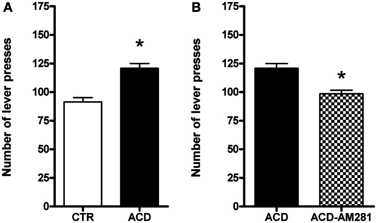 Effects of ACD (A) and AM281 treatment (B) on the number of lever presses during the extinction day. Each value represents the means ± S.D. of 16 rats. *p < 0.001 vs. respective control groups.