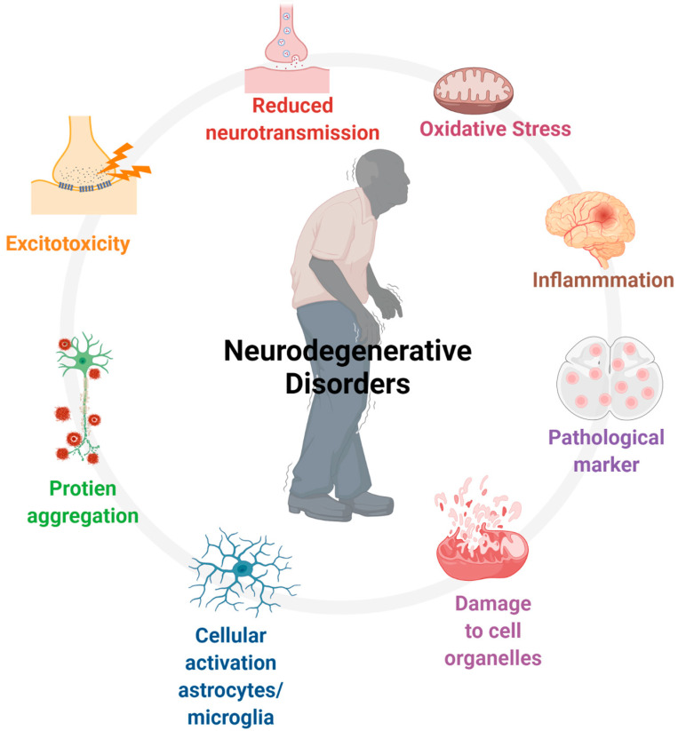 Representative illustration displaying several pathological events that might play crucial role in gradual progression of neurodegeneration diseases. This figure was created with BioRender.com.