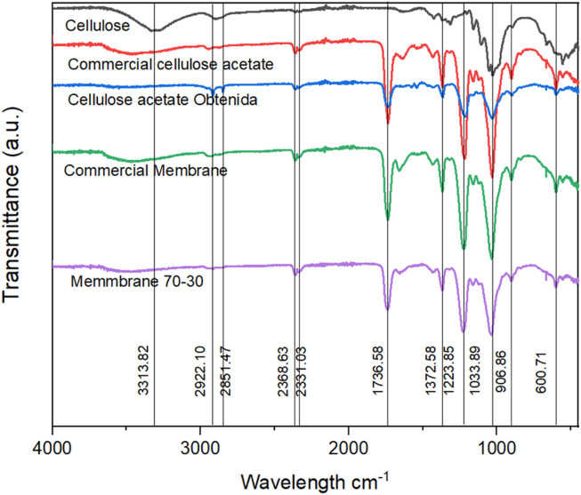 FTIR spectra of extracted cellulose, synthesized cellulose acetate, and electrospun membranes derived from Cannabis sativa.