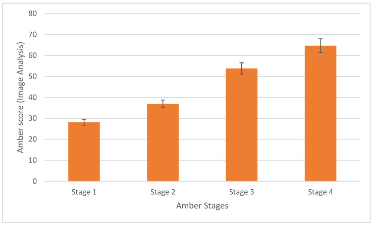 The mean automated amber score calculated using image analysis for each inflorescence, categorized by its manual amber score. Error bars indicate the standard error. (n = 25 for each amber stage).