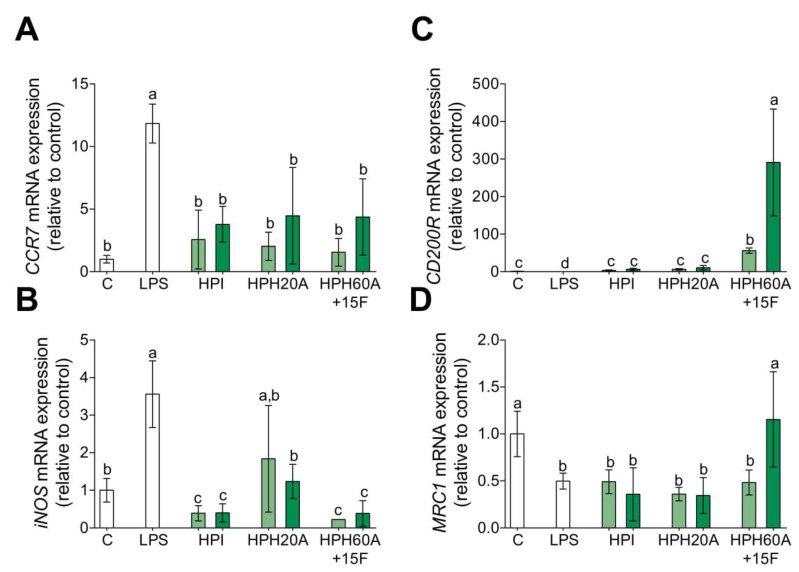 Effect of HPPs on macrophage polarization marker gene expression in LPS-stimulated primary human monocytes. Monocytes were activated with LPS (100 ng/mL) and then treated with HPI, HPH20A, and HPH60A15F at 50 (light green bar) and 100 (dark green bar) μg/mL for 24 h. Relative mRNA expression levels of M1 markers, CCR7 (A) and iNOS (B), and M2 markers, CD200R (C) and MRC1 (D), were detected by real-time quantitative PCR. Data are presented as means ± SD (n = 3) and the significantly different (p < 0.05) are labeled with contrasting letters.