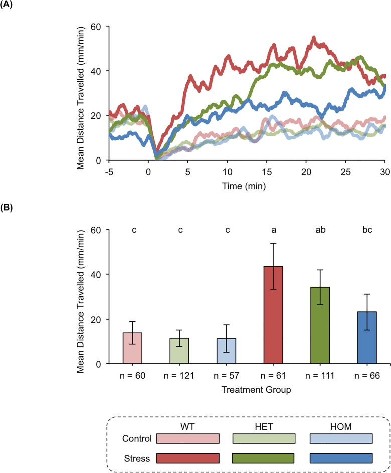faah2a modulates stress-associated behavior.(A) The rolling means of distances travelled by wild type (WT), heterozygous faah2a (HET) mutant, and homozygous faah2a (HOM) mutant zebrafish. The pre-treatment baseline locomotor activity was recorded from −15–0 min, and the post-treatment locomotor activity was recorded from 0–31 min. At time 0 the zebrafish were treated with either E2 media (Control) or E2 media + NaCl (Stress). The locomotor activity at each second is represented as a mean of the distance travelled during the preceding 60 s. (B) The means of distances travelled after the zebrafish were treated with E2 media (Control) or E2 media + NaCl (Stress). The locomotor activity of each group is represented as a mean of the distance travelled per min during the 5–25 min time bin ± 95% CI. Groups with all different letters above the columns are statistically different from each other, while groups with a conserved letter above the columns are not statistically different from each other (Tukey's honest significant difference test, P < 0.05).