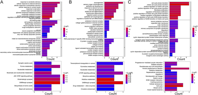 GO enrichment and KEGG pathway analyses of mRNAs enrolled in ceRNA networks. (A) KEGG pathway and GO enrichment analysis of mRNAs in the ceRNA (lncRNA) network in control and case groups. (B) KEGG pathway and GO enrichment analysis of mRNAs in the ceRNA (lncRNA) network in the case and treatment groups. (C) KEGG pathway and GO enrichment analysis of mRNAs in the ceRNA (lncRNA) network in the control and treatment groups. Each GO map shows the top 10 enriched phrases in BP, CC, and MF. On (A, B), the top 9 enriched KEGG pathways are shown, while (C) shows the top 15 enriched KEGG pathways.