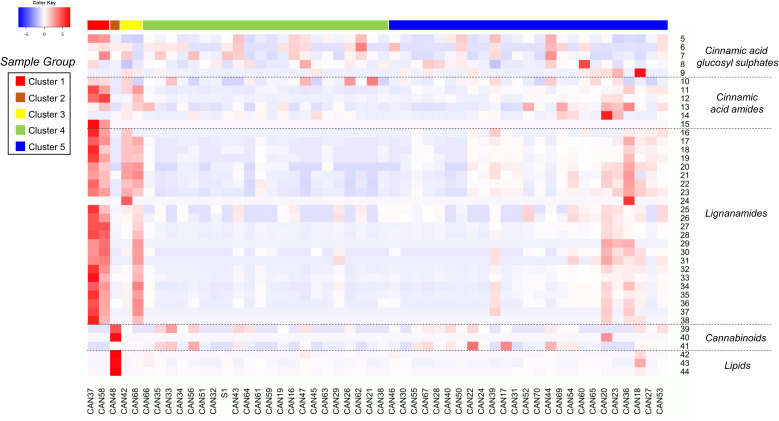 Heatmap showing the relative accumulation of the annotated metabolites in the 52 hemp seed accessions analysed by LC-MS. For compounds identities refer to Table 2 .
