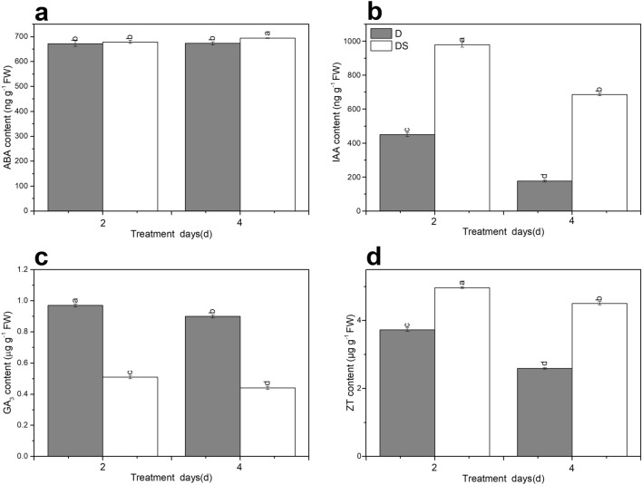 Uniconazole-induced endogenous hormones of ABA (a), IAA (b), GA3 (c), ZT (d) levels under drought stress. All data are presented as the means ± standard errors (n = 3). D and DS expressed as treatments under drought stress and drought stress + uniconazole, respectively.