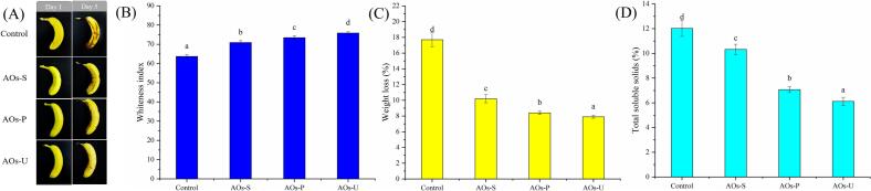 Changes in appearance (A), whiteness index (B), weight loss (C) and total soluble solids (D) of bananas after AOs coatings. AOs-S: AOs coatings fabricated by high-speed shearing; AOs-P: AOs coatings fabricated by high-pressure homogenization; AOs-U: AOs coatings fabricated by ultrasonication. Results with different letters within the same pattern are significantly different (p < 0.05).