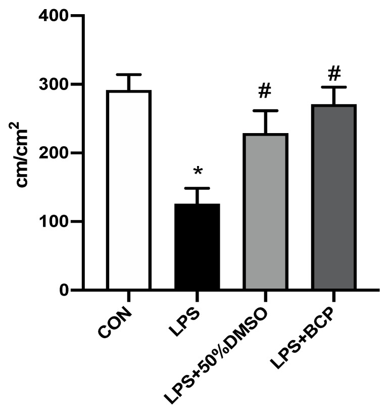 Capillary perfusion quantified through FCD within the bladder microcirculation of female BALB/c mice for the following experimental groups: control (CON; n = 6), LPS-induced IC (LPS; n = 5), LPS-induced IC treated with 50% DMSO, (LPS + 50% DMSO, n = 5), LPS-induced IC treated with BCP (100 mg/kg, LPS + BCP; n = 6). Saline, LPS, DMSO, and BCP were all administered via intravesical instillation. Data are presented as mean ± SD. * p < 0.05 vs. CON. # p < 0.05 vs. LPS.