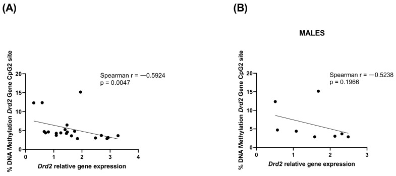 Correlation between Drd2 relative gene expression and % change of Drd2 DNA methylation at CpG2 site in rats PFC in the combined population (A) and in male rats only (B). Data were compared by Spearman’s rank correlation coefficient.