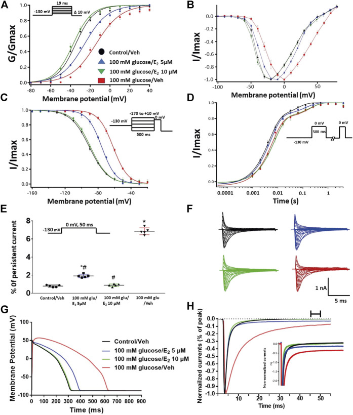 (A) Effect of E2 (5 or 10 µM) on conductance curve of Nav1.5 transfected CHO cells incubated in 100 mM glucose (for 24 h) with the insert showing the protocol (n = 5, each). (B) IV curves (C) Effect of E2 (5 or 10 µM) on SSFI of Nav1.5 transfected CHO cells in 100 mM glucose (for 24 h) with the insert showing the protocol (n = 5, each). (D) Effect of E2 (5 or 10 µM) on recovery from fast inactivation of Nav1.5 transfected CHO cells in 100 mM glucose (for 24 h) with the insert showing the protocol (n = 5, each). (E) Effect of E2 (5 or 10 µM) on the percentage of persistent sodium currents of Nav1.5 transfected CHO cells in 100 mM glucose (for 24 h) with the insert showing the protocol (n = 5, each). (F) Representative families of macroscopic currents. (G) Effect of E2 (5 or 10 µM) on the In silico action potential duration of Nav1.5 transfected CHO cells incubated in 100 mM glucose (for 24 h). (H) Representative persistent currents across conditions. Currents were normalized to peak current amplitude. Bar above current traces indicates period during which persistent current was measured. Inset shows non-normalized currents. *p < 0.05 vs. corresponding “Control/Veh” values using one-way ANOVA along with post hoc testing. # p < 0.05 vs. corresponding “100 mM glucose/Veh” values using Student’s t-test.
