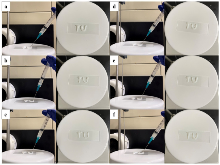 Injectability of the composite hydrogel (a) PNIPAAm/Cs/CNC0, (b) PNIPAAm/Cs/CNC10, (c) PNIPAAm/Cs/CNC50, (d) PNIPAAm/Cs/CNC100, (e) PNIPAAm/Cs/CNC150 and (f) PNIPAAm/Cs/CNC300.