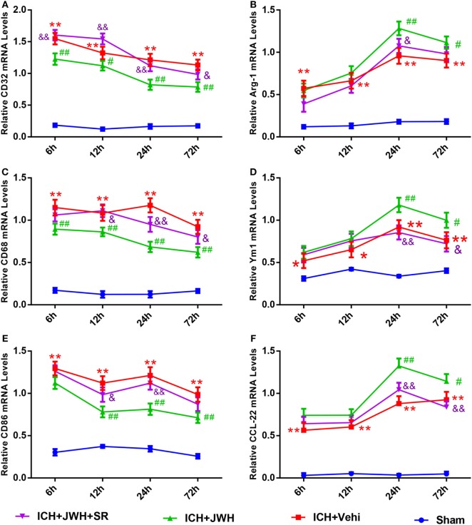 M1/M2-associated markers of microglia at messenger RNA level. CD32 (A), CD68 (C), and CD86 (E) are M1-associated markers. Arg-1 (B), Ym-1 (D), and CCL-22 (F) are M2-associated markers. Values were expressed as mean ± SD, n = 6 in each group. *P < 0.05, **P < 0.01 compared with sham group; #P < 0.05, ##P < 0.01 vs. ICH + Vehi group; &P < 0.05, &&P < 0.01 vs. ICH + JWH group.
