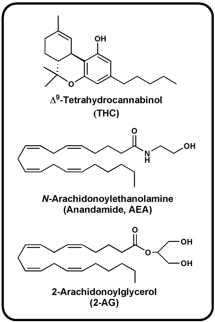 Chemical structures of THC and two prominent endocannabinoids.