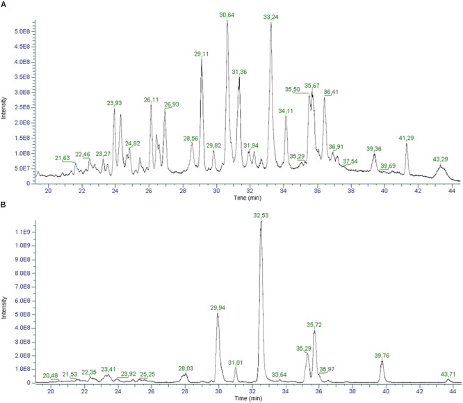 Total ion Chromatograms (TICs) of a hemp seed oil sample (oil_1) in positive (A) and negative (B) ionization mode.
